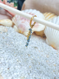 Blue Gold Seahorse Earrings